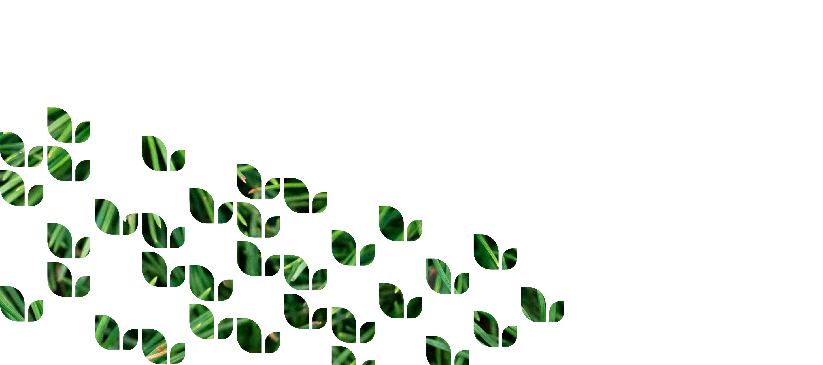 Dekoratiivne muster roheliste lehtedega